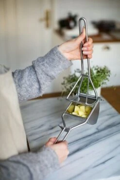 Dorre Poppy Kartoffelpresser -Køkkenudstyr Butik dorre poppy potato press stainless steel 2