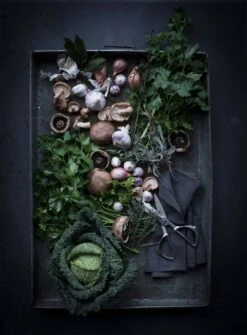 Global GKS-210 Saks 21 Cm -Køkkenudstyr Butik global global gks 210 saks 21 cm 3