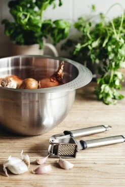 Heirol Steely Hvidløgspresser -Køkkenudstyr Butik heirol steely garlic press 2