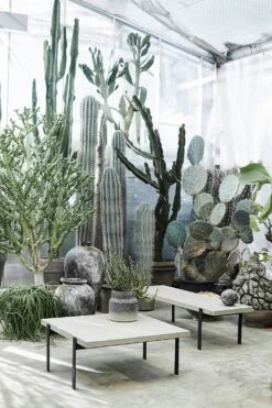 Muubs Echo Bonbonniere, 15 Cm -Køkkenudstyr Butik muubs echo bonbonniere 3