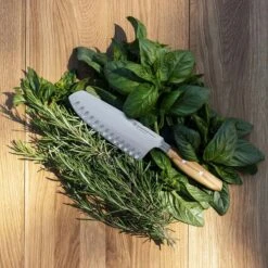 Wüsthof Amici Santokukniv 17 Cm -Køkkenudstyr Butik wusthof amici santoku 17 cm olive wood from calabria 2